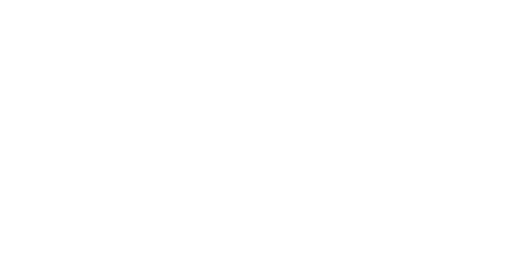 bm logo